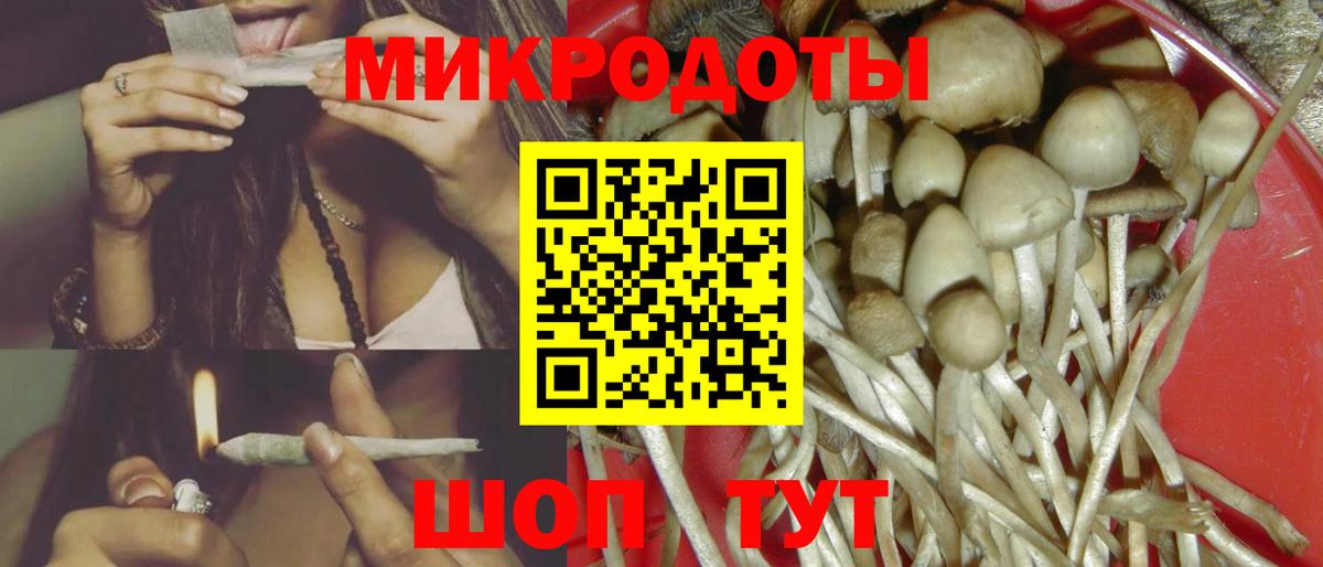 Кисловодск  Псилоцибиновые грибы GOLDEN TEACHER  Псилоцибиновые грибы GOLDEN TEACHER  Вход с VPN 